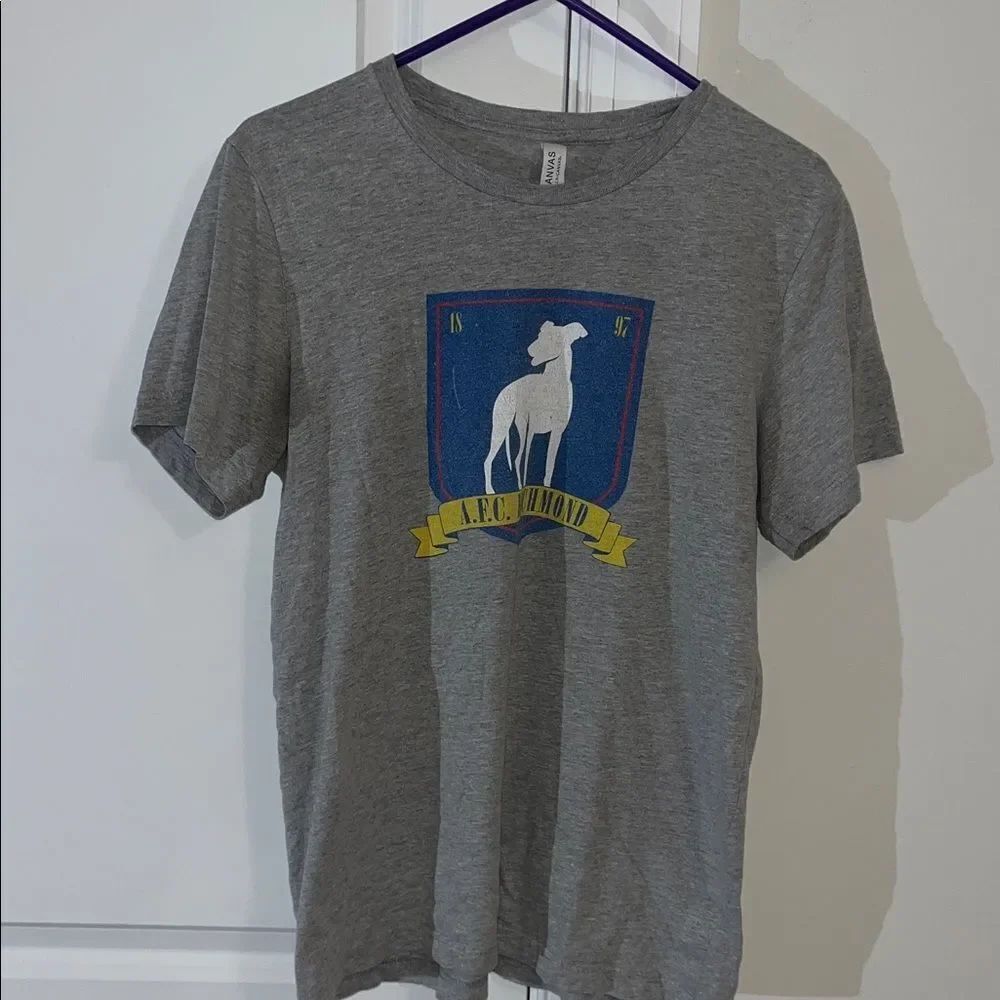 Gray Ted Lasso AFC Richmond England Crest Soccer Team Worn t shirt M Mens
